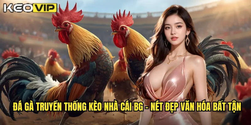 Đá gà truyền thống kèo nhà cái bg - Nét đẹp văn hóa bất tận