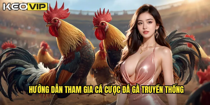 Hướng dẫn tham gia cá cược đá gà truyền thống