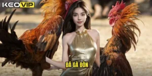 đá gà đòn