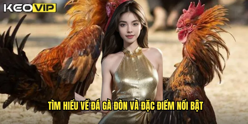 Tìm hiểu về đá gà đòn và đặc điểm nổi bật