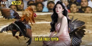 Đá gà trực tuyến