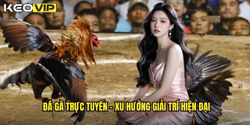 Đá gà trực tuyến - Xu hướng giải trí hiện đại