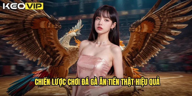 Chiến lược chơi đá gà ăn tiền thật hiệu quả