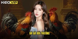 đá gà đổi thưởng