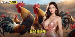 đá gà miễn phí