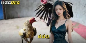 đá gà C2