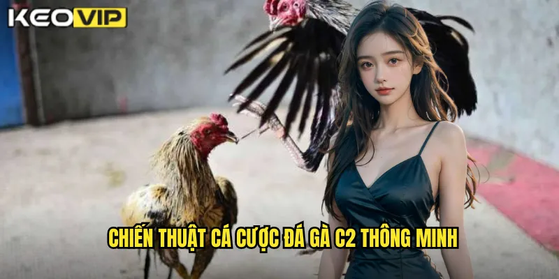 Chiến thuật cá cược đá gà C2 thông minh