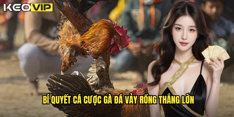 Bí quyết cá cược gà đá vảy rồng thắng lớn