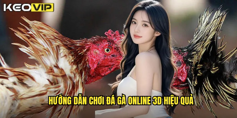 Hướng dẫn chơi đá gà online 3D hiệu quả