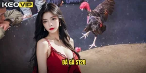 đá gà S128