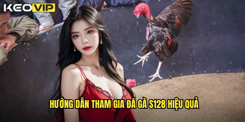 Hướng dẫn tham gia đá gà S128 hiệu quả