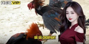 Đá gà Cockfight