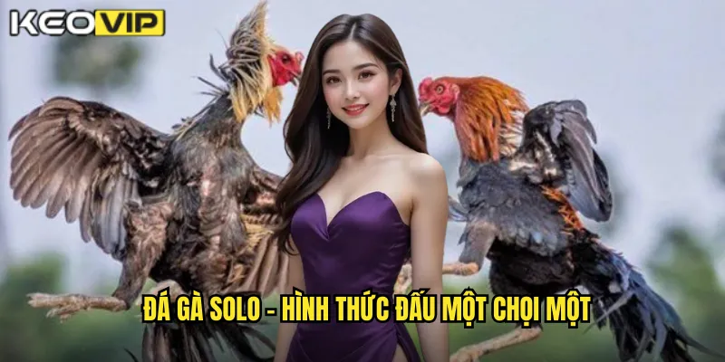 Đá gà solo - Hình thức đấu một chọi một
