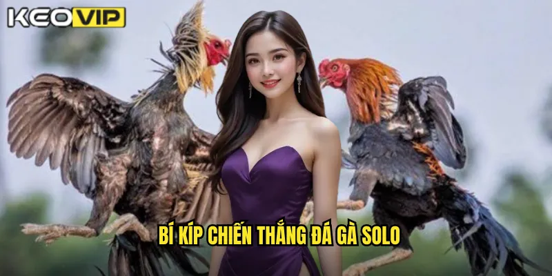 Bí kíp chiến thắng đá gà solo