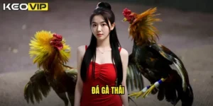đá gà Thái