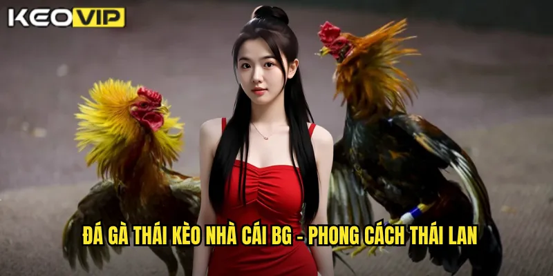 Đá gà Thái kèo nhà cái bg - Phong cách Thái Lan