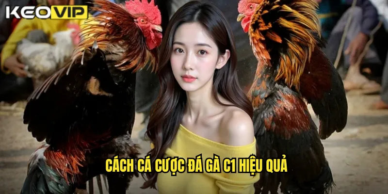 Cách cá cược đá gà C1 hiệu quả