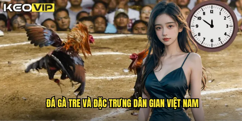 Đá gà tre và đặc trưng dân gian Việt Nam