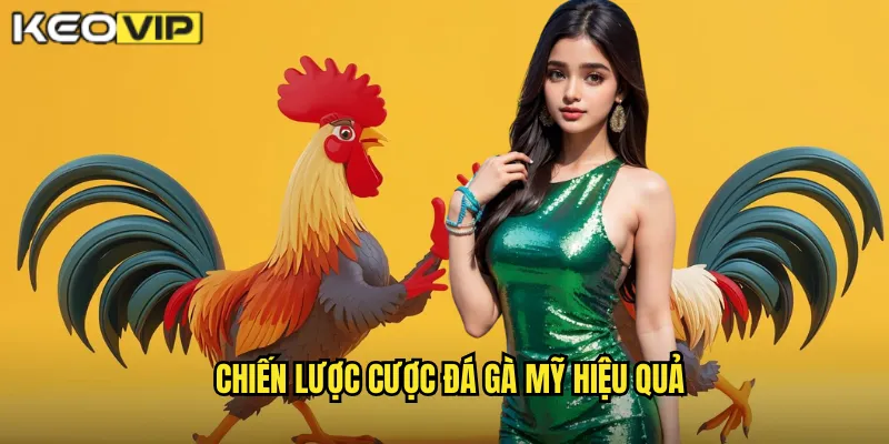 Chiến lược cược đá gà Mỹ hiệu quả