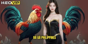 đá gà Philippines