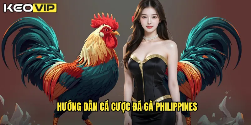 Hướng dẫn cá cược đá gà Philippines